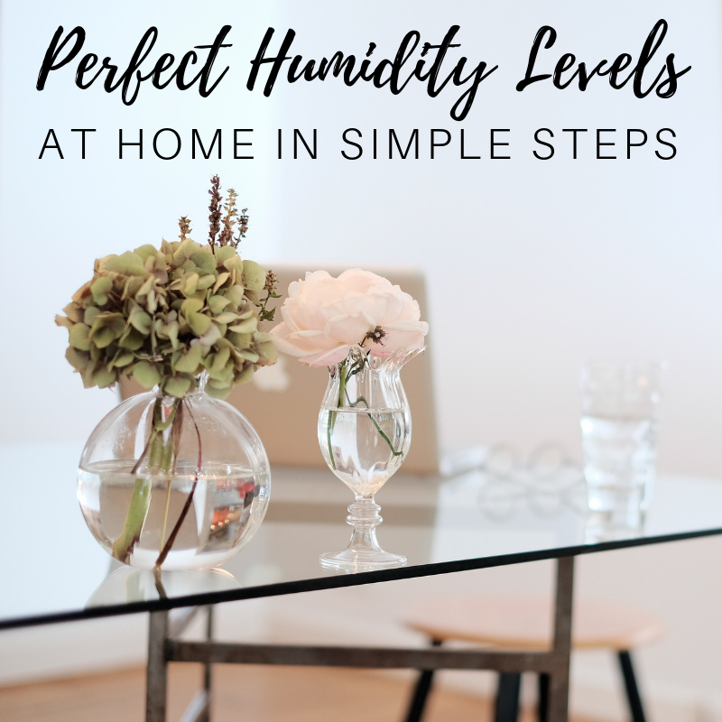 perfect humidity levels at home in simple steps